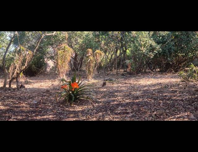 LAND FOR SALE IN GROOT BRAKRIVIER CENTRAL